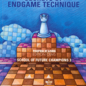 Secrets of Endgame Technique
